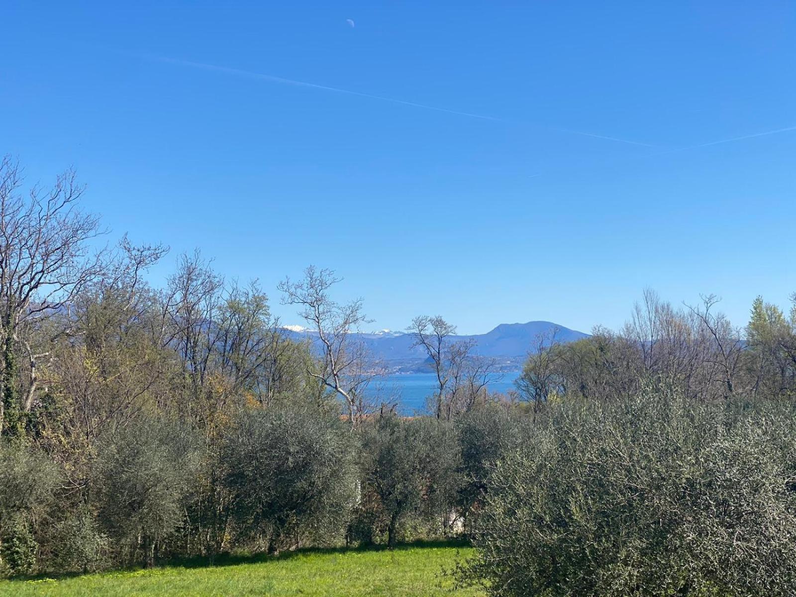 The Flowers - Apartments With Private Garden In Residence With Pool Manerba del Garda Εξωτερικό φωτογραφία